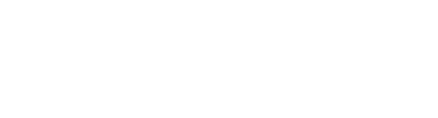 Procarga